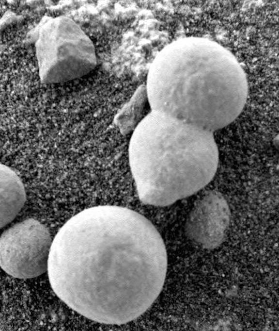 La mayoría de los expertos identificaron estos especímenes como «hongos». Son similares a esporas que cubren la superficie. La NASA dice que solo se trata de hematitas